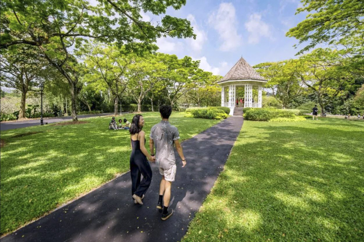 singapore botanic gardens is one of the best free attractions singapore