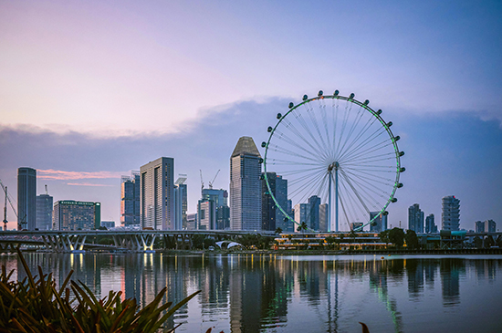 singapore skyline, singapore flyer